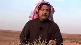 مفاجأة..الخبز وبنادول اكسترا سبب الأمراض في السعودية