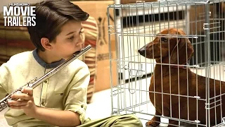 Wiener-Dog Trailer: Greta Gerwig Welcomes You to the Doghouse