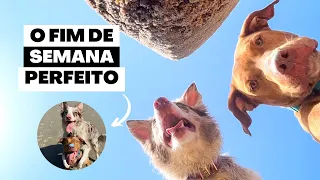 VLOG | Um dia de praia com a gente 🏖️🌊