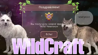 #wildcraft-ЧЕМПИОН У ПОДРУГИ??!!НЕ ПРОПУСТИТЕ!!!!🌸😍🥵