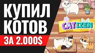 На 2000$ купил котов в игре Catizen! Сколько в итоге заработаю? Аирдроп криптовалют в Катизен