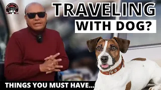 How To Travel with Dog or Puppy in Car? Items & Accessories Needed to Ride || Baadal Bhandaari