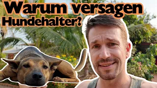 Warum geht es so vielen Hunden in unserer Gesellschaft so schlecht?