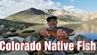 High alpine lake fishing for Cutthroat (catch and cook)