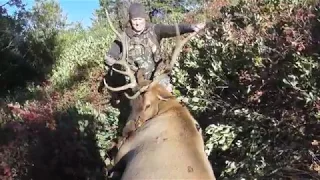 Archery Elk Hunt - DIY - Called in to 30 yards