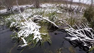 Охота на ондатру.Закрытие охоты по ондатре (Будни охотника и рыбака)