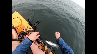 Kayak Salmon Slay May 15, 2024