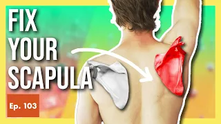 How to Fix Scapular Dyskinesis for Climbers (Shoulder Blade "Winging")