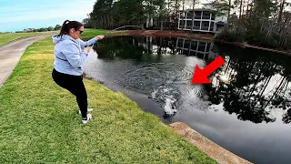 The Fishing Combo You NEED! (Pond Fishing)