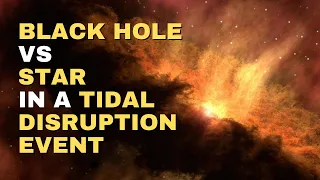 The Ultimate Cosmic Showdown: Black Hole vs. Star in a Tidal Disruption Event