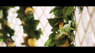 Выездная свадьба Марины и Ивана в лимонных оттенках от свадебного агентства "Семейные ценности"