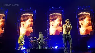 Red Hot Chili Peppers - Under The Bridge - Hobart, AUS [1080p]
