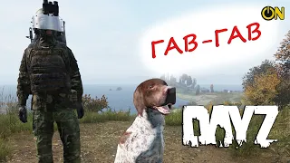 Собаки DayZ - Атмосферный гайд на мод Dog