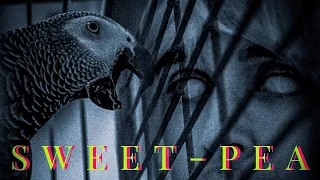 Sweet-Pea | Short Film