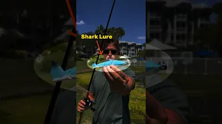 Will A Fish Eat A Shark Lure?