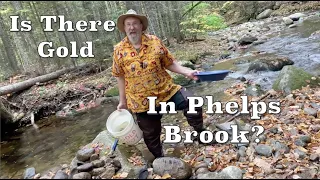 Is There Gold In Phelps Brook?