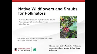 Native plants for pollinators