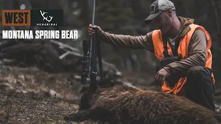 PUBLIC LAND Montana Spring Bear Hunt - HUMANIMAL