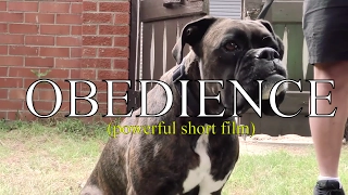 Obedience (emotional short film - you WILL cry)
