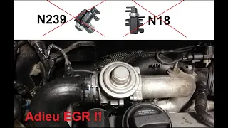 Supprimer EGR TDI