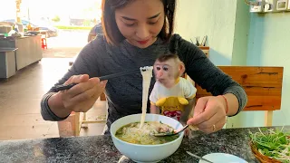 Monkey Puka and Mom have breakfast with Vietnamese Pho