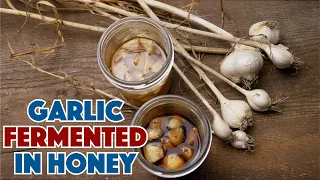 🐝🧄 How To Make Garlic Fermented In Honey Recipe