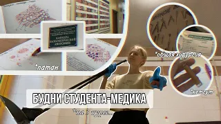 Будни студента-медика // патан и общая хирургия // не приняли рисунки // жизнь в меде на 3 курсе...