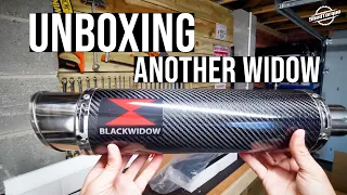 Unboxing ANOTHER WIDOW - Kawasaki Z1000sx Twin Exhaust