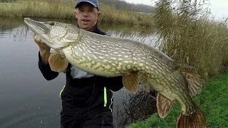 Vissen met dood aas op snoek met een NIEUW  PR 120+