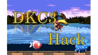 (DKC 3 Hack) 1-1 "Weakening"