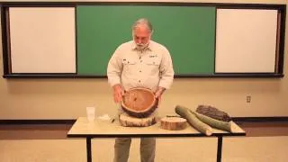 How to Read Tree Growth Rings : Tree Trimming & Care