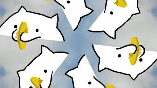 In the Hall of the Bongo Cat