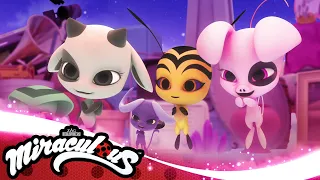 MIRACULOUS | 🐞 SANDBOY 🐞 | Ladybug & Cat Noir - हिन्दी