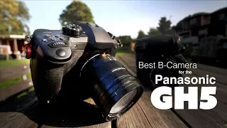 Best B-camera for the Panasonic GH5