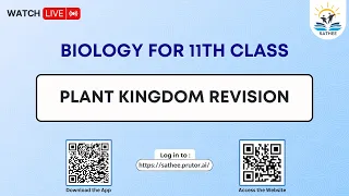 Biology Class 11th | Plant Kingdom Revision