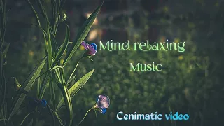 Mind relaxing music video.Cenimatic video. The beauty of nature..Funny video.#cenimaticvideo#nature