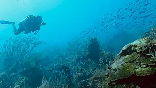 Scuba diving - Cayo Coco, Cuba