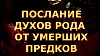 ПОСЛАНИЕ ДУХОВ РОДА ОТ УМЕРШИХ ПРЕДКОВ таро любви онлайн сегодня