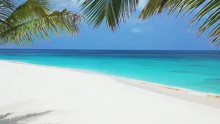 7 Hours of Tropical Scenery in 4K 💗🏝