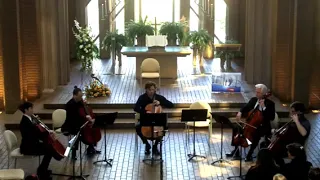 Albinoni | Adagio in G Minor for solo cello and cello quartet