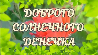 Доброго Солнечного Утра ☕️ С Добрым Утречком Хорошего Дня Открытка! #сдобрымутром #доброеутро