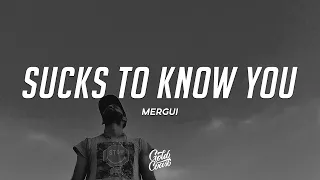 Mergui - “Sucks To Know You (FU)” (Lyrics)