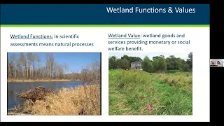 "The Value of Wetlands and the Regulations That Protect Them”