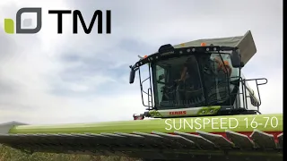 Жатка  для подсолнуха CLAAS SUNSPEED 16-70 / Уборка подсолнуха 2020 / Обзор TMI