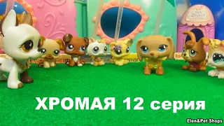 LPS ХРОМАЯ 12 серия