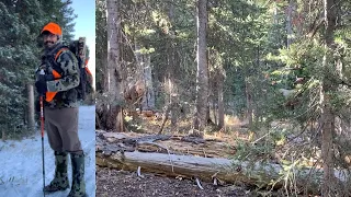 2020 Solo Colorado 1st Rifle Elk Hunt