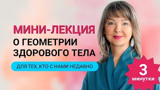 Мини лекция о ГЕОМЕТРИИ здорового тела! 3 минутки. Для тех, кто с нами совсем недавно!