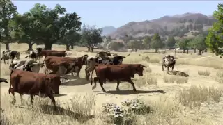 red dead redemption parte 6: no darás falso testimonio por dinero; mujeres y reses