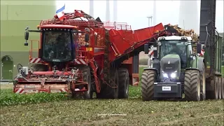 Holmer-Fendt-Hawe / Rübenernte - Beet Harvest  1/2  2018