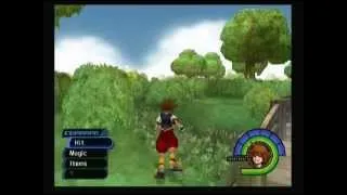 Kingdom Hearts Playthrough (Bonus Episode 3) [Hundred Acre Wood: Page 3]